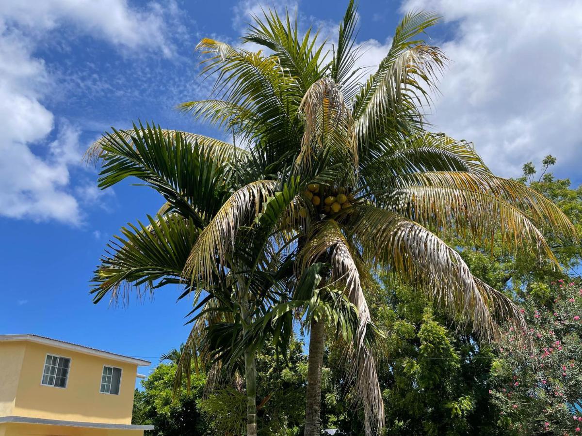 Little Shaw Park Guest House Ocho Rios Exterior photo